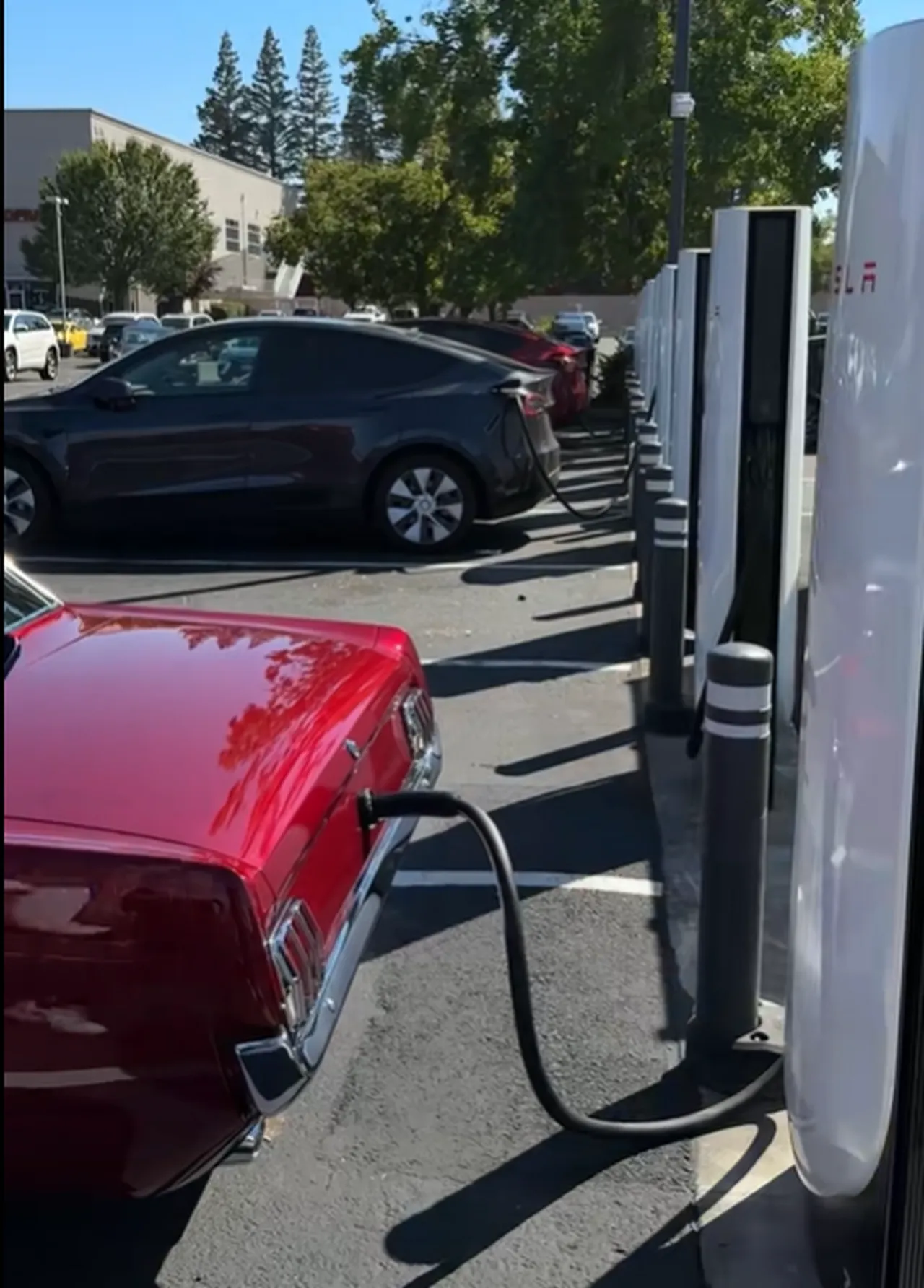 Yolda gören bir daha bakıyor: 1966 model Mustangi Teslaya çevirdi!