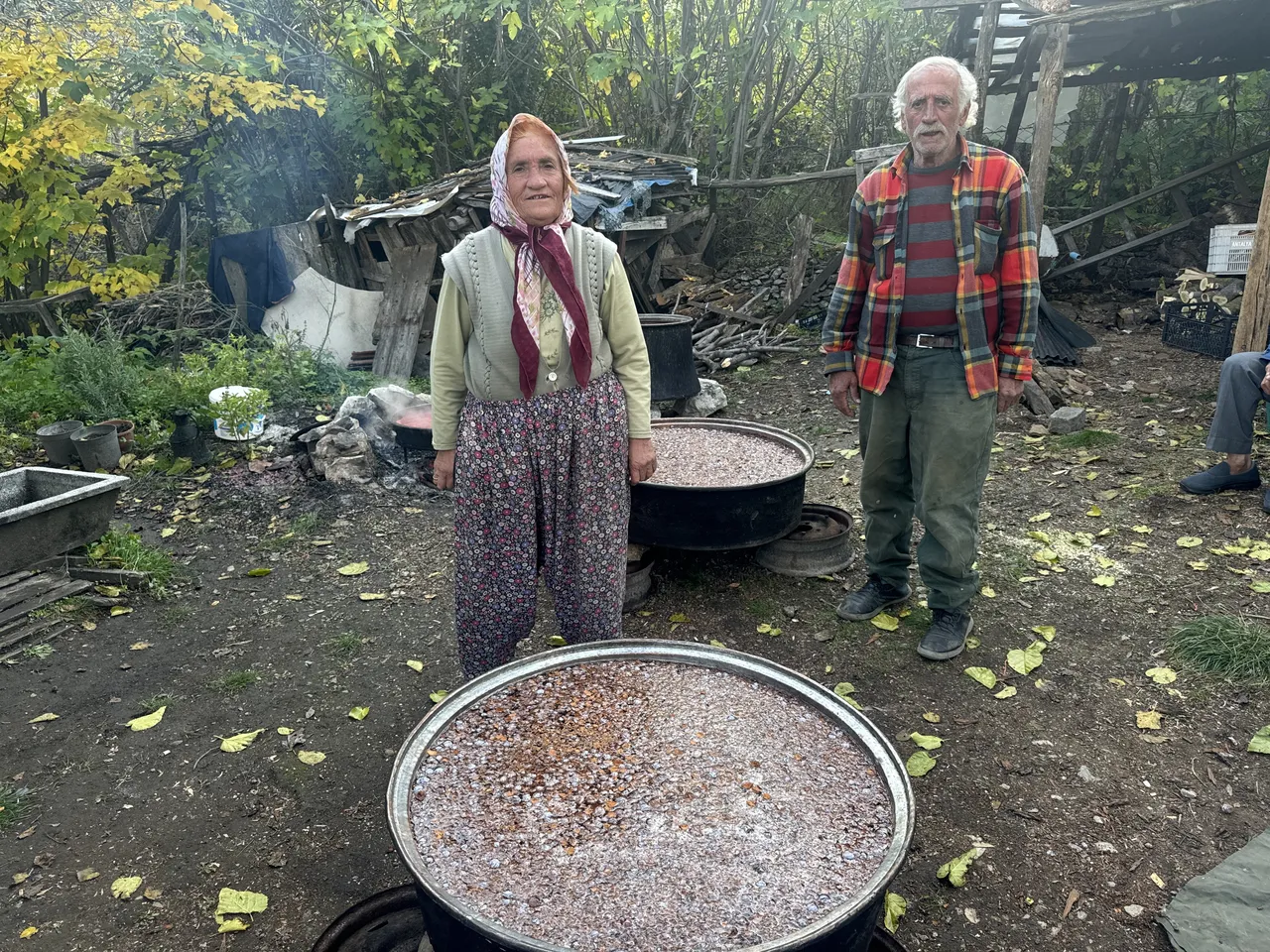 1.500 metre yükseklikten toplayıp 7-8 saat kaynatıyorlar! Kilosu 500 liraya yok satıyor