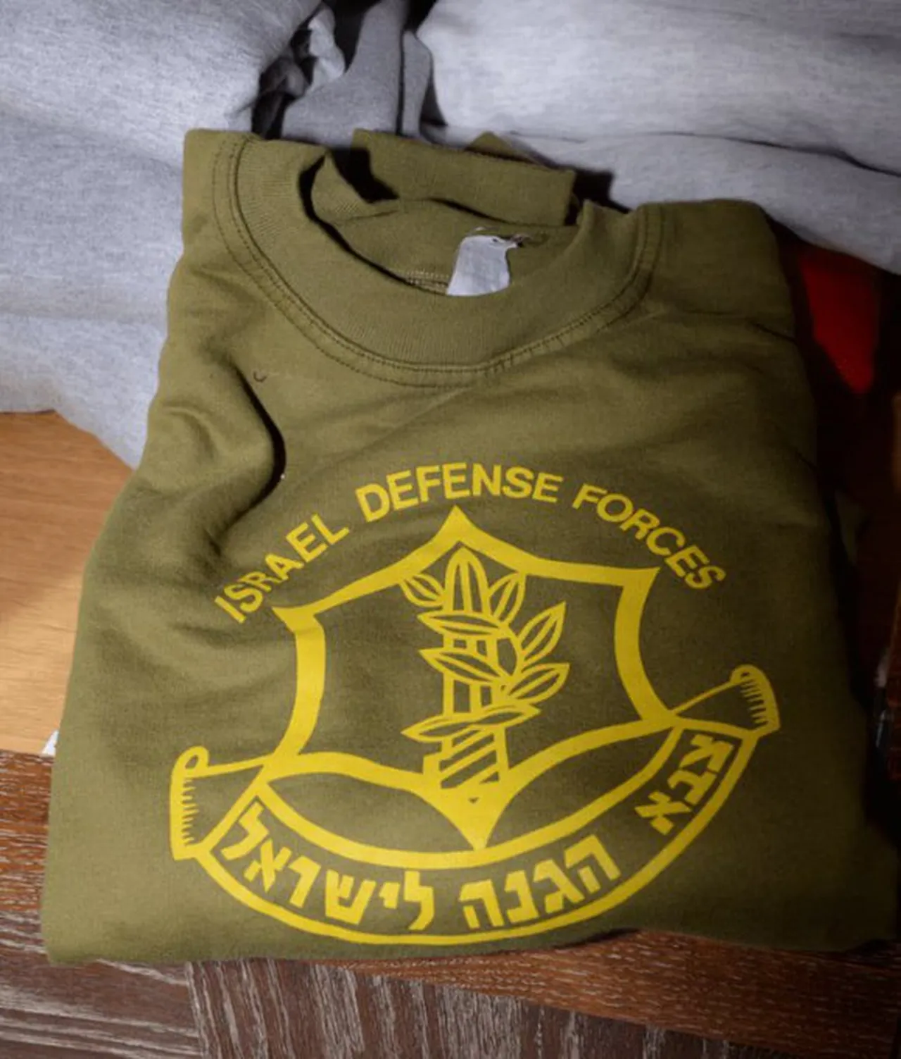 Jeffrey Epstein'in İsrail Ordusu sweatshirt'ü.