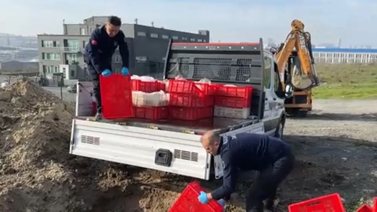 Esenyurt'ta mide bulandıran görüntü! Sağlıksız 1 ton tavuk eti imha edildi
