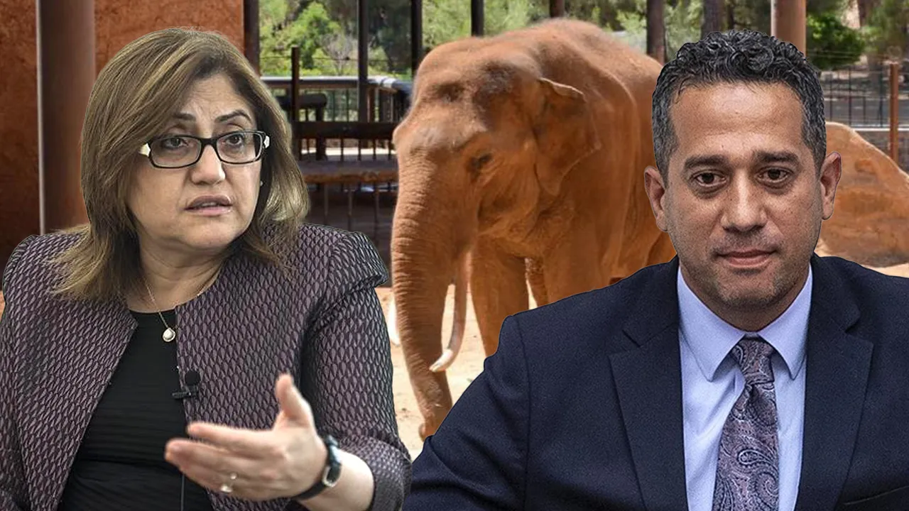 Fatma Şahin'den CHP'li Başarır'a yalanlama! 'Gabi' ölmedi