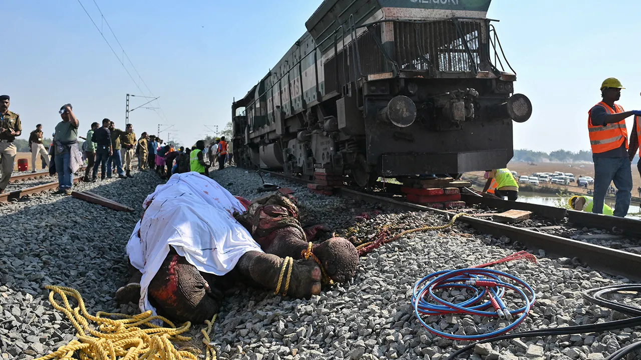 Hindistan'da yolcu treni fillere çarptı! Çok sayıda hayvan telef oldu