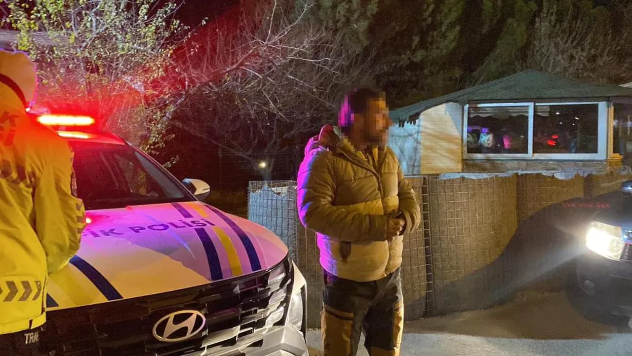 Trafikte ceza yiyince gerçek yüzü ortaya çıktı: Danimarka'dan 2 milyon krom getirdim