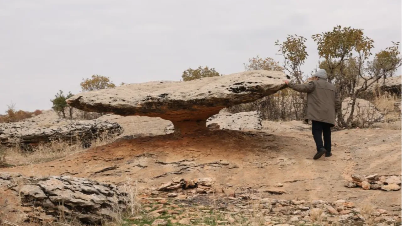 Diyarbakır'da buzul çağ kalıntısı hayrete düşürüyor! 6 milyon yıl öncesine ait