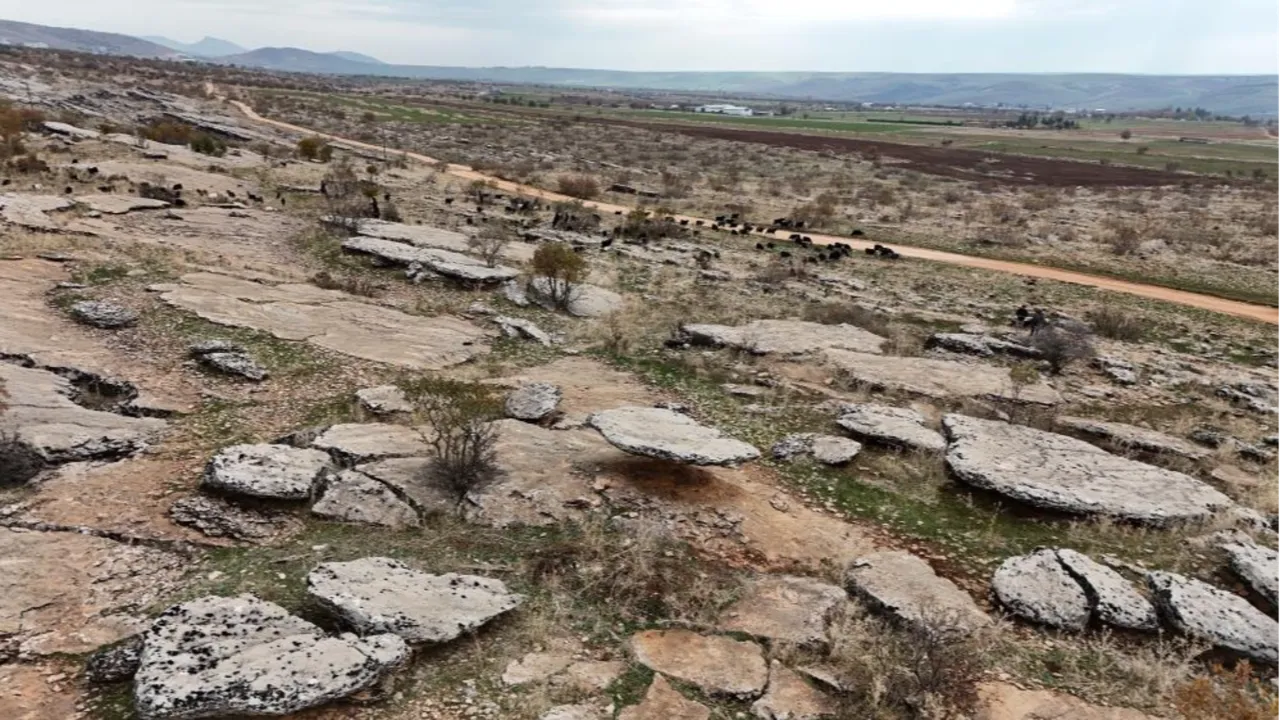 Diyarbakır'da buzul çağ kalıntısı hayrete düşürüyor! 6 milyon yıl öncesine ait
