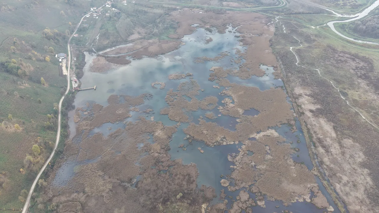 Göçmen kuşların mola yeri Efteni Gölü yenileniyor