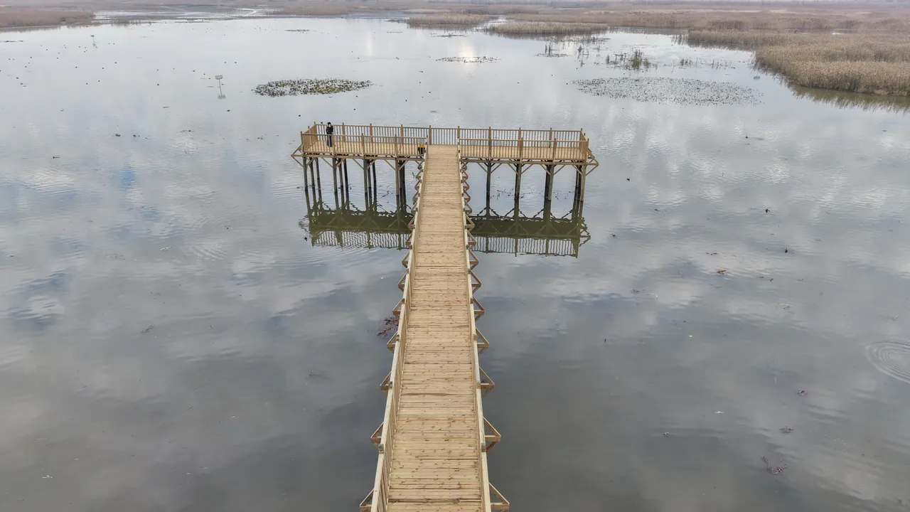 Göçmen Kuşların Mola Yeri Efteni Gölü Yenileniyor