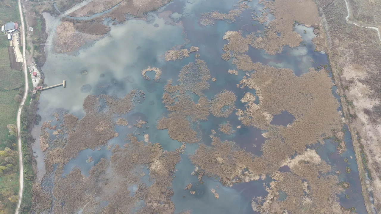 Göçmen Kuşların Mola Yeri Efteni Gölü Yenileniyor