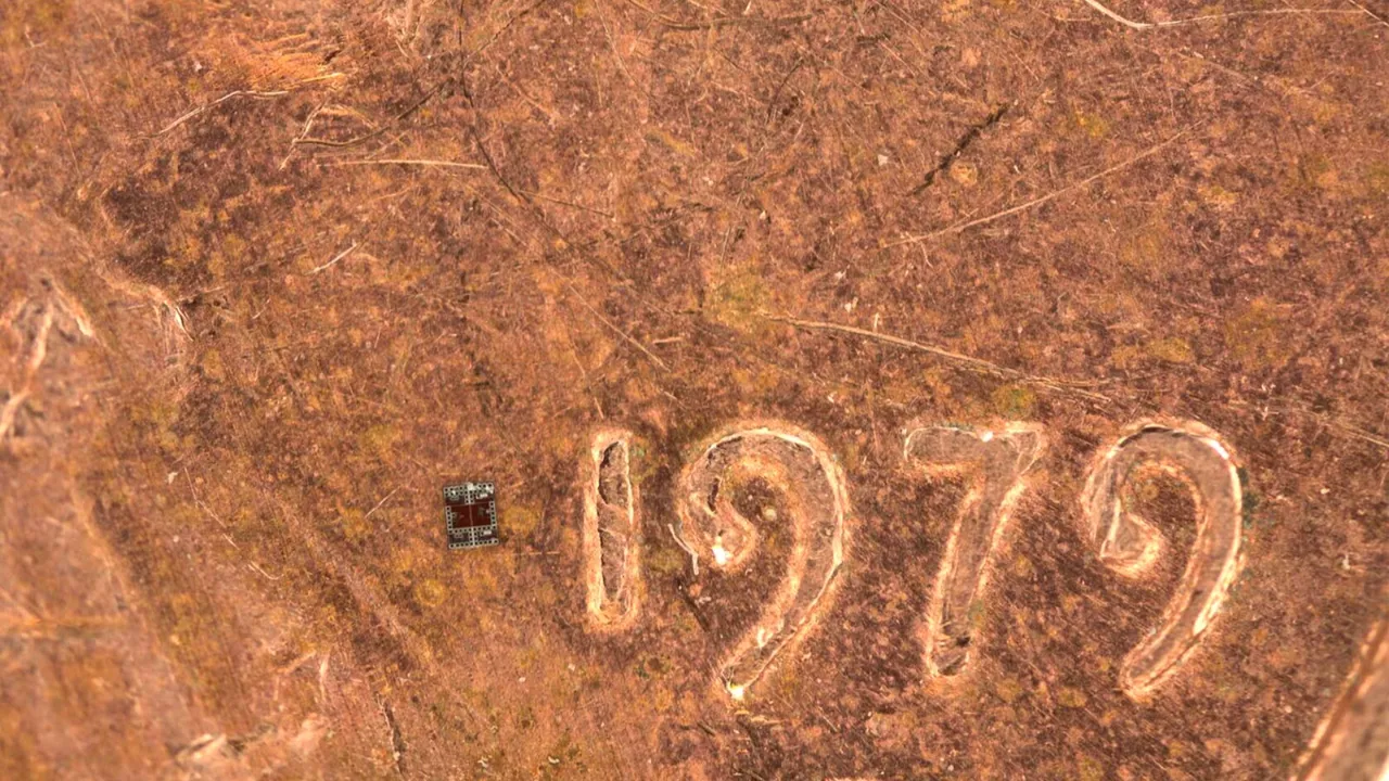 Gözünüzle görmeniz çok zor! Tek başına hareket eden dünyanın en küçük robotu tanıtıldı