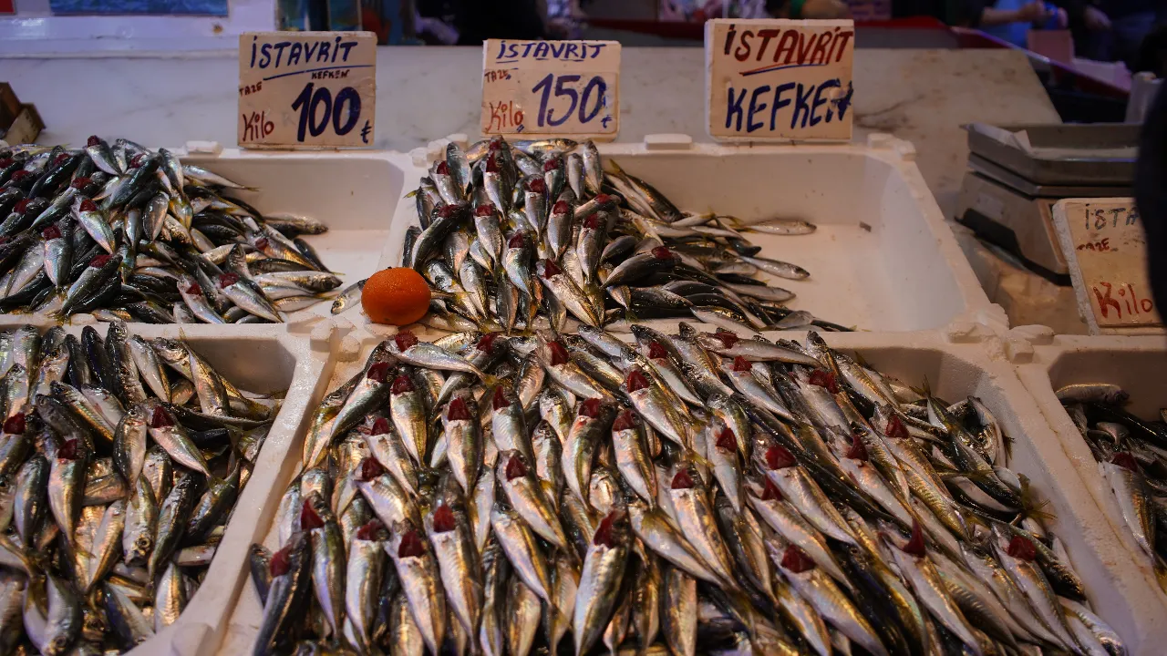 Hamsi Gürcistan’a geçti! Balık tezgahlarında istavrit bereketi