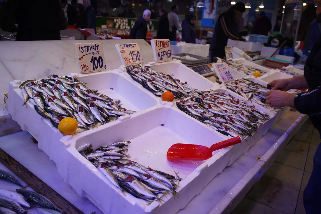 Hamsi Gürcistan’a geçti! Balık tezgâhlarında istavrit bereketi