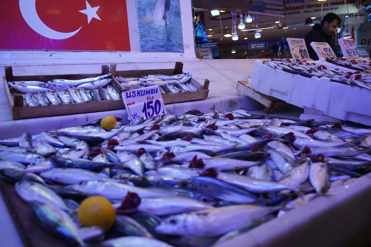 Hamsi Gürcistan’a geçti! Balık tezgâhlarında istavrit bereketi