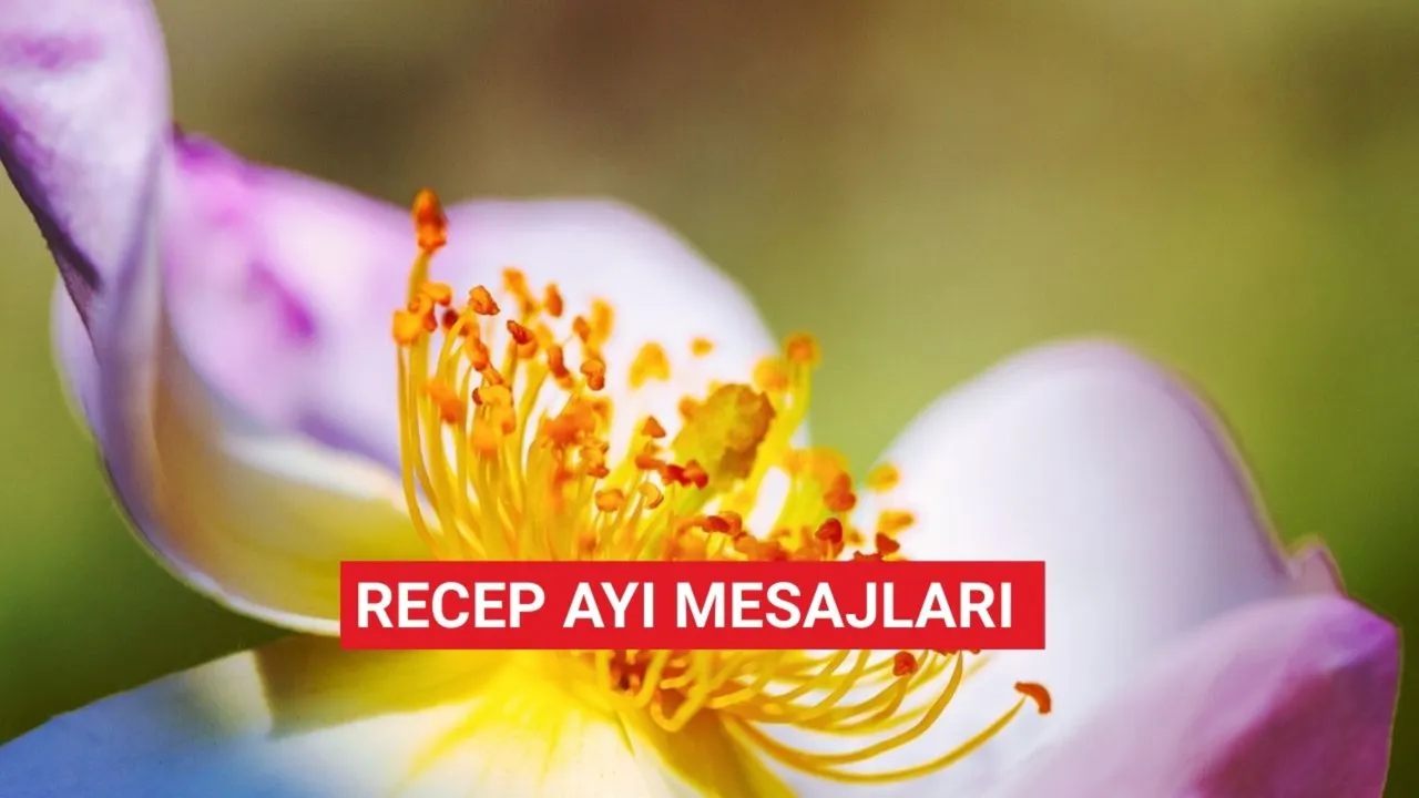 Üç ayların başlangıcına özel mesajları: Sosyal medyada en çok beğeni alan Recep ayı mesajları 