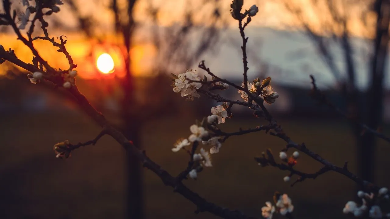 21 Aralıktan sonra gündüzler uzuyor mu? Kış gündönümü yaşandı