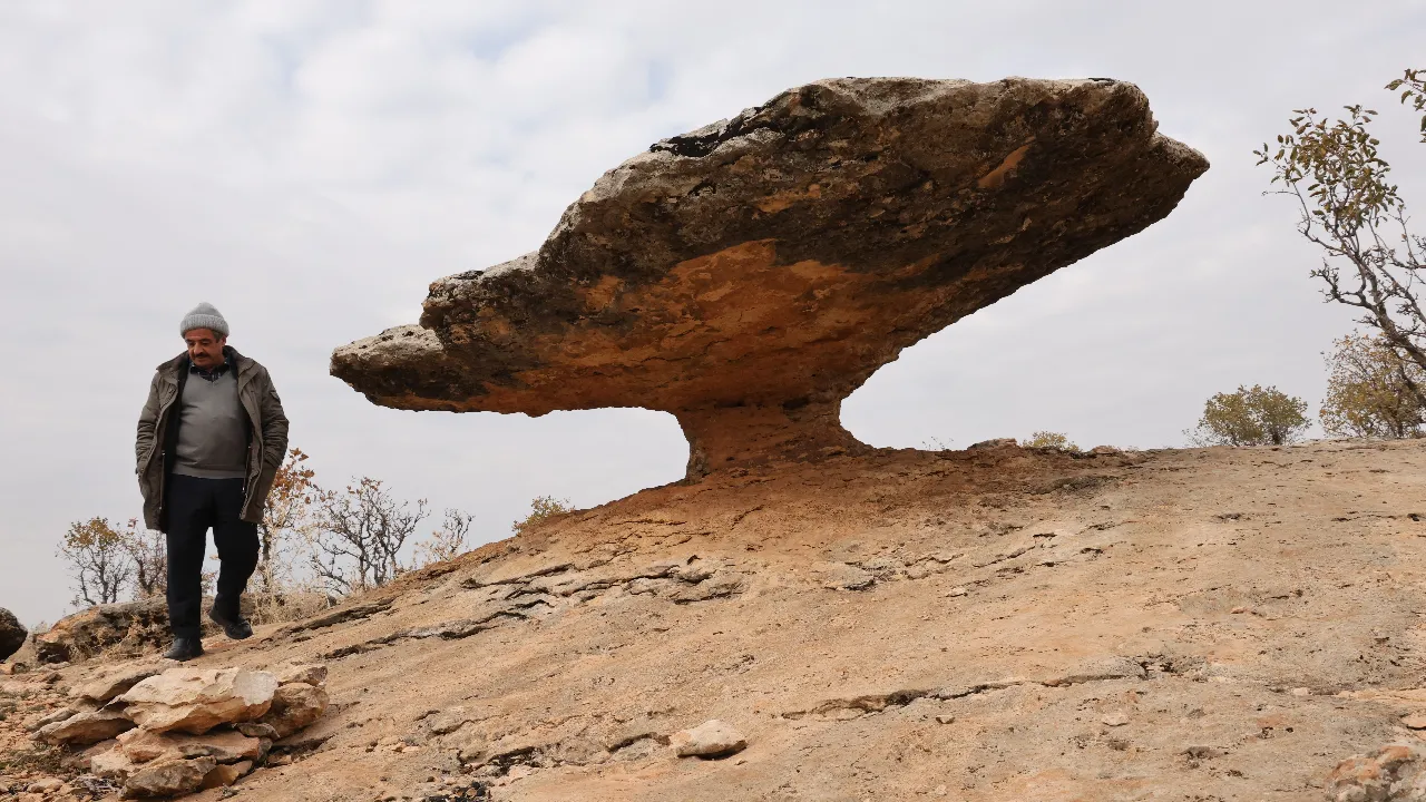 Buzul çağından kalma! Bu mantar kaya 6 milyon yaşında