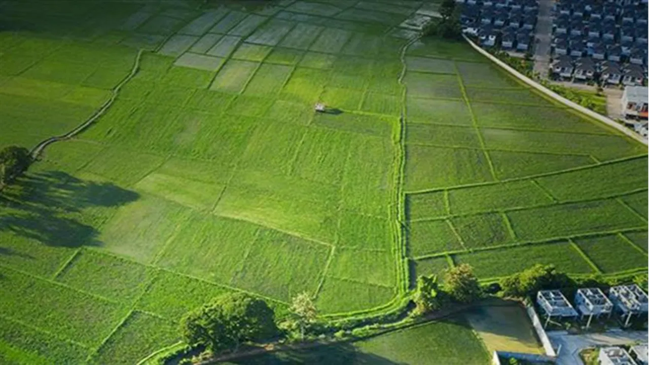 Konut imarlı arsa TÜFE'ye yenildi: En çok ve en az değerlenen iller şaşırttı