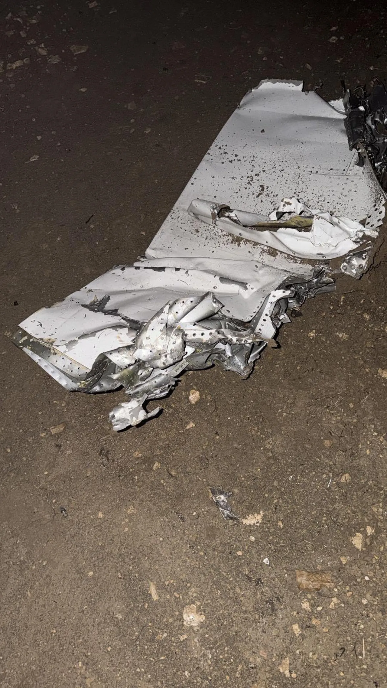 Ankara'dan kalkan özel jet düştü!