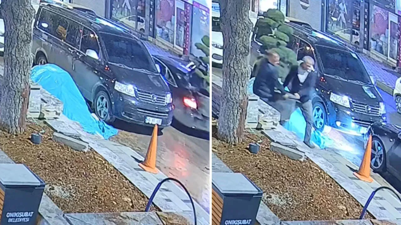 Bu da ağaç hırsızlığı! Kameralara aldırmadan kapıp gittiler