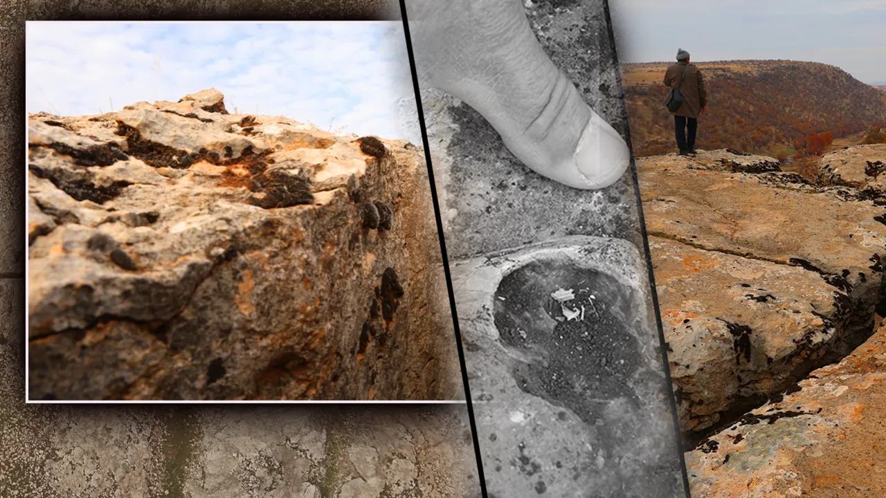   Diyarbakır'da fay kırıklarının göbeğinde ilginç keşif! Yüz milyonlarca yıl öncesine ait fosil bulundu