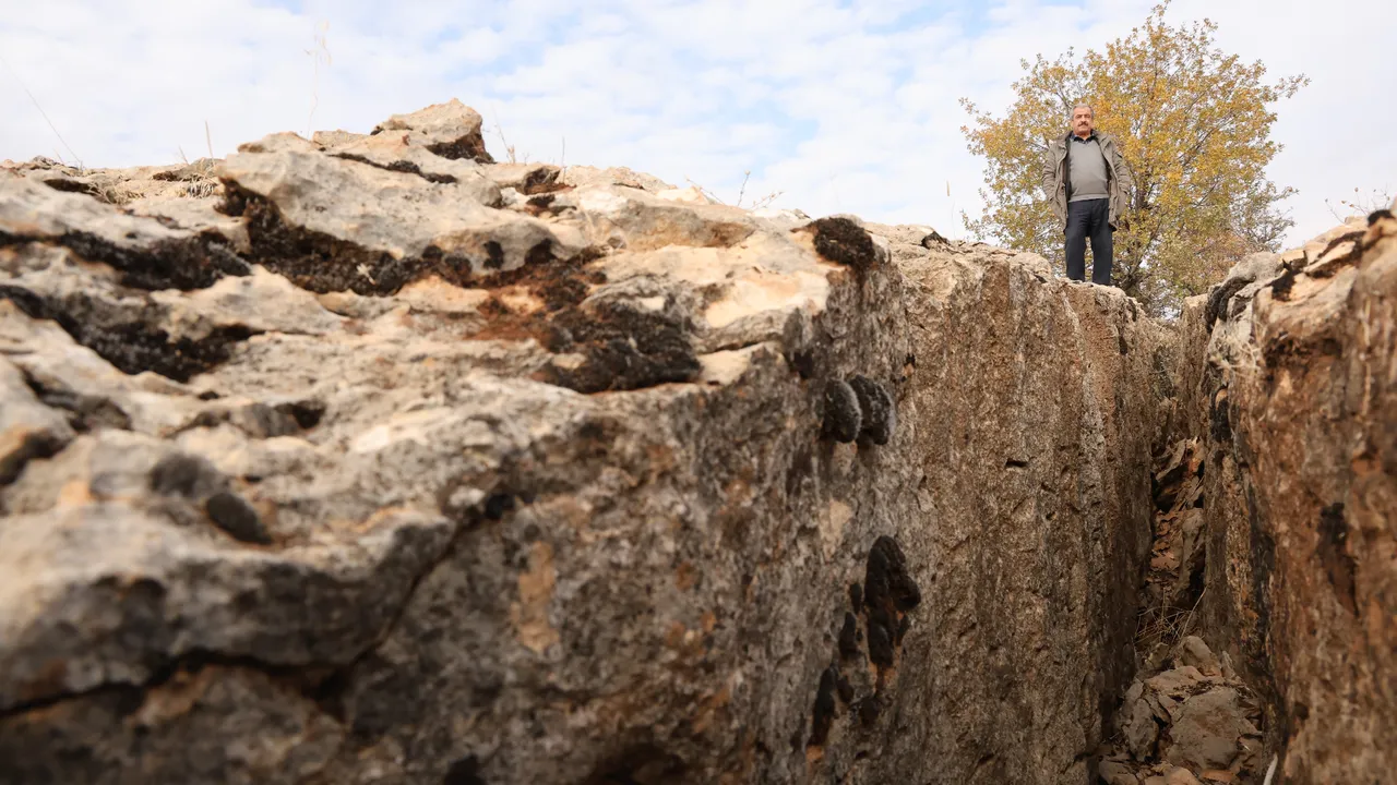   Diyarbakır'da fay kırıklarının göbeğinde ilginç keşif! Yüz milyonlarca yıl öncesine ait fosil bulundu