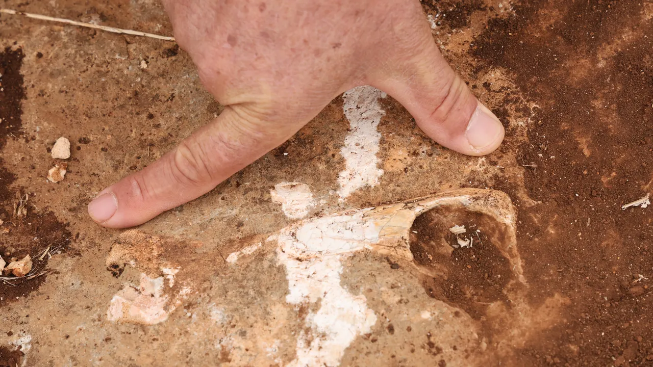   Diyarbakır'da fay kırıklarının göbeğinde ilginç keşif! Yüz milyonlarca yıl öncesine ait fosil bulundu