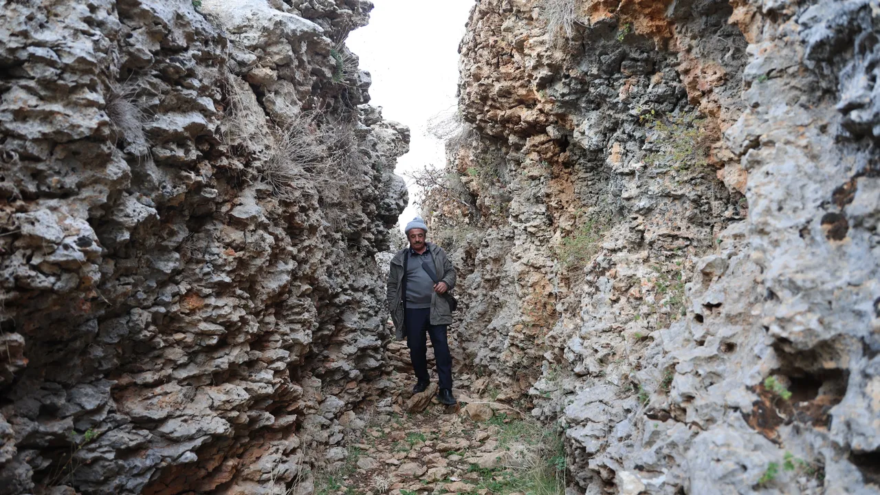   Diyarbakır'da fay kırıklarının göbeğinde ilginç keşif! Yüz milyonlarca yıl öncesine ait fosil bulundu