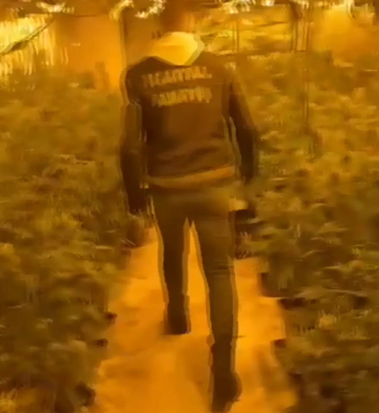 İstanbul'da uyuşturucu serası kurmuşlar!