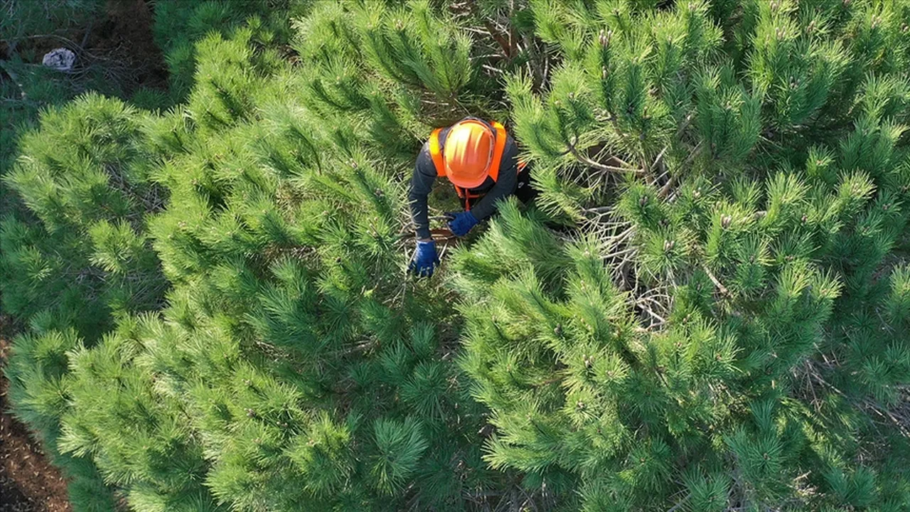 OGM personel alımı sonuçları açıklandı mı, ne zaman açıklanacak?