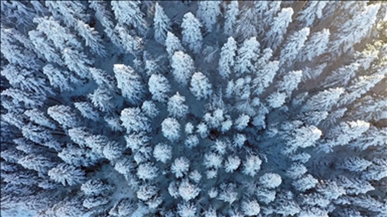 Zemheri ne zaman başlar ne zaman biter? Zemrehi soğukları başladı