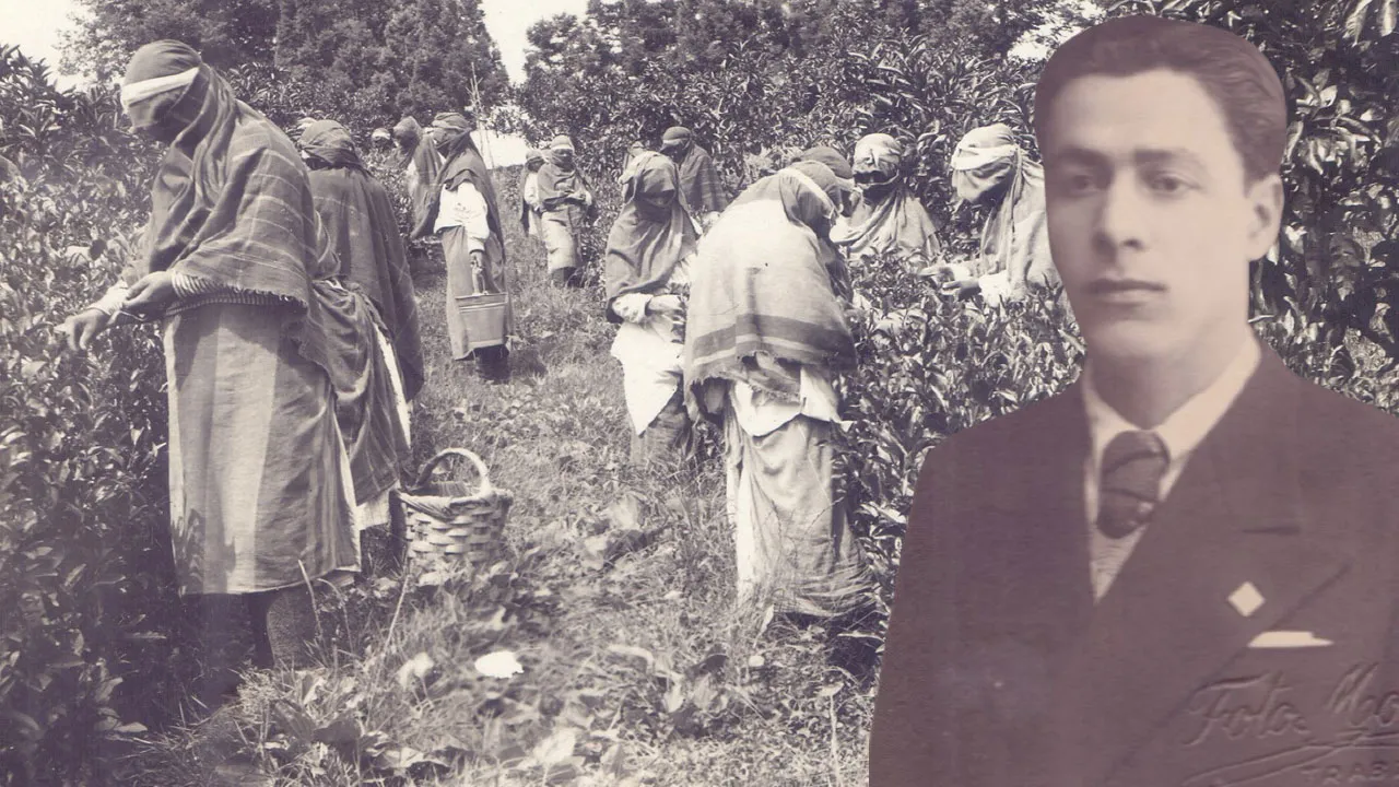 Çay'ın tarihi yeniden yazıldı! 