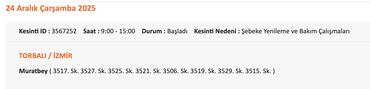 Gediz Elektrik kesintisi sorgulama: 24 Aralık 2025 İzmirde elektrikler ne zaman gelecek?( Bornova, Urla, Çeşme?