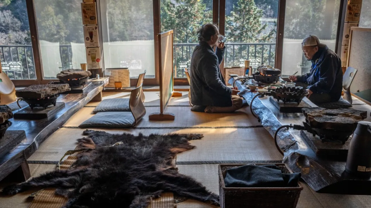 İşler tersine döndü! İtlaf edilen ayıların etine stok dayanmıyor