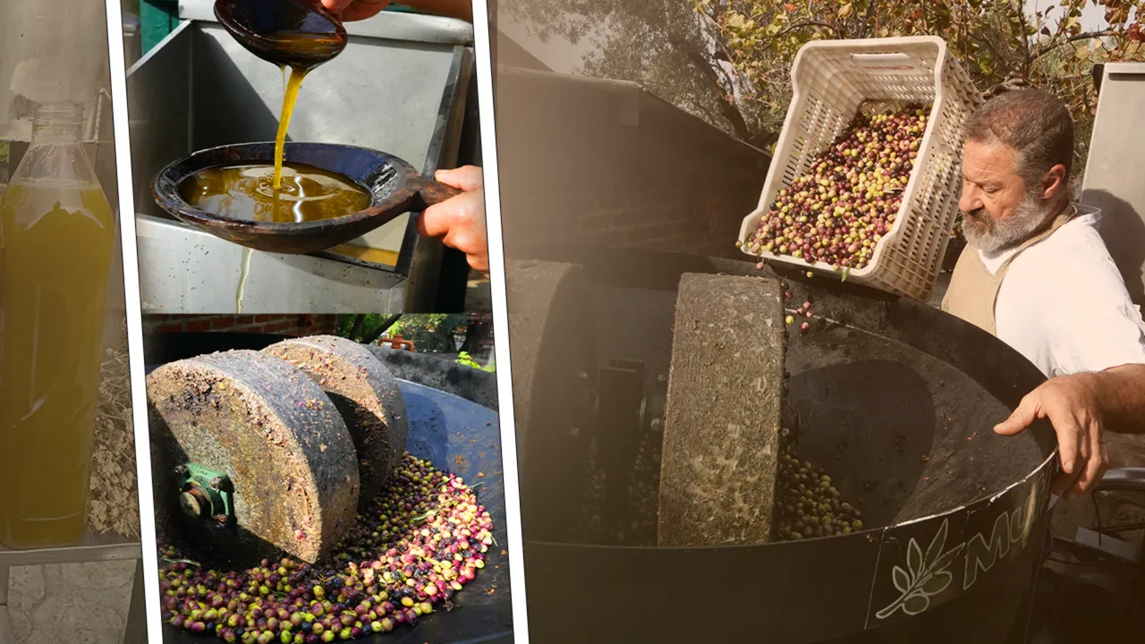 Zeytinyağında 200 yıllık sır yöntem! Ne sıcak ne de kimyasal kullanıyor 