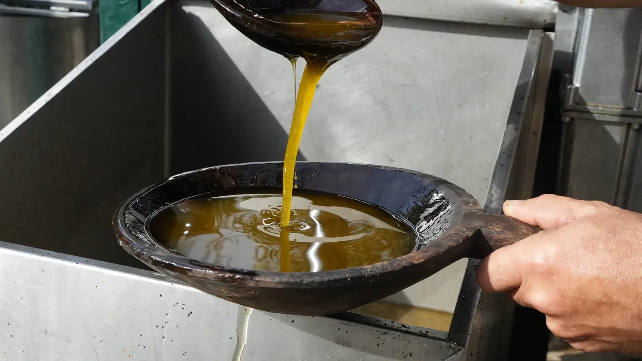 Zeytinyağında 200 yıllık sır yöntem! Ne sıcak ne de kimyasal kullanıyor 