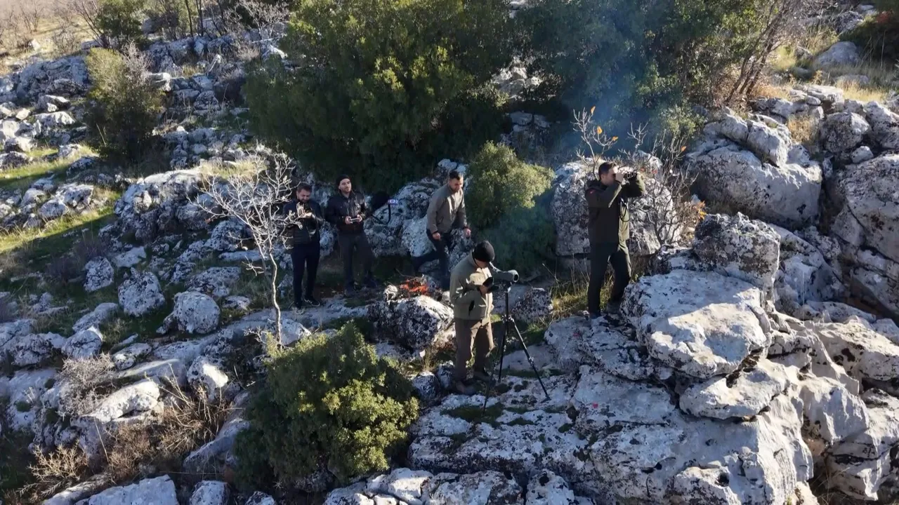 Adıyaman’da yaban keçisi envanteri: Sayının artması bekleniyor