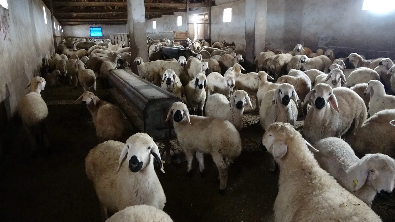 Babasıyla tartışınca kendi yolunu çizdi! Şimdi geliri çok iyi: ‘Memur olsaydım bu kadar kazanmazdım’