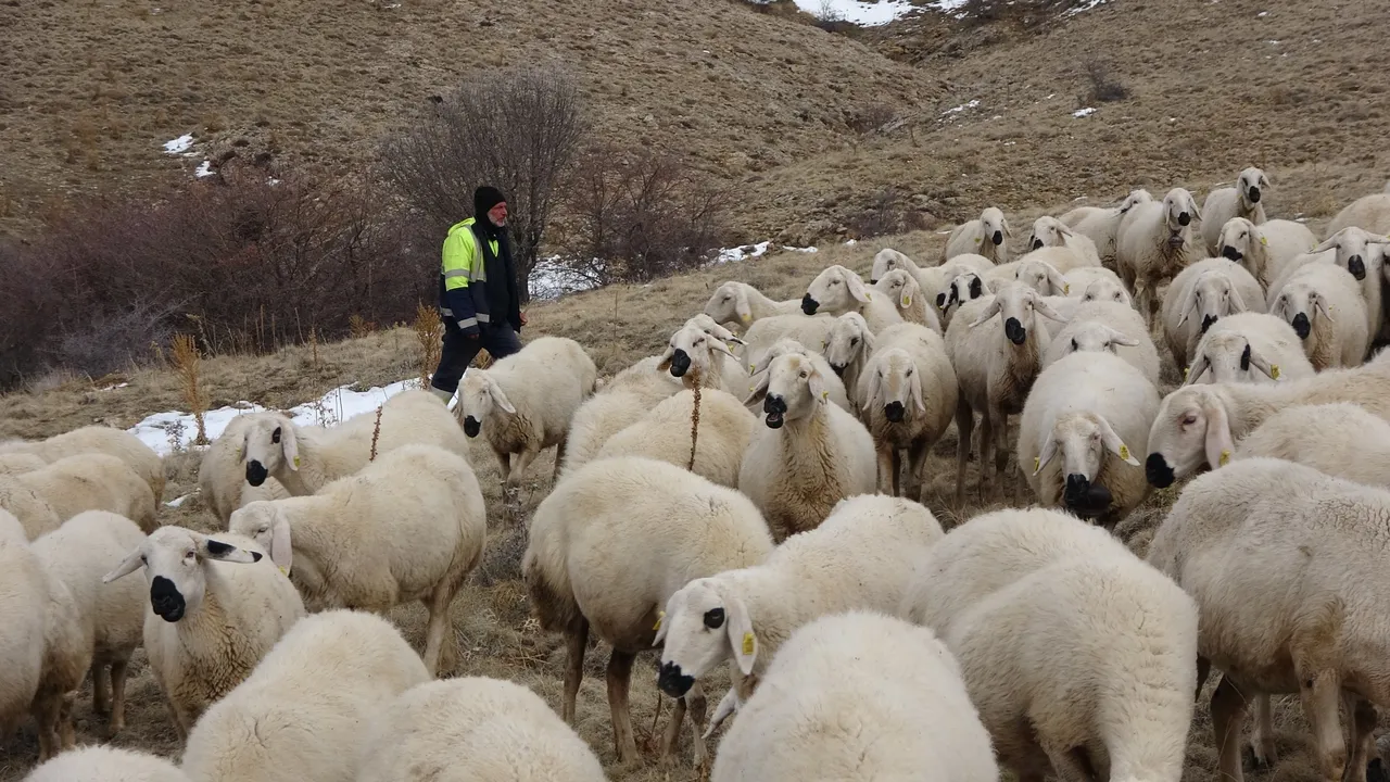 Babasıyla tartışınca kendi yolunu çizdi! Şimdi geliri çok iyi: ‘Memur olsaydım bu kadar kazanmazdım’