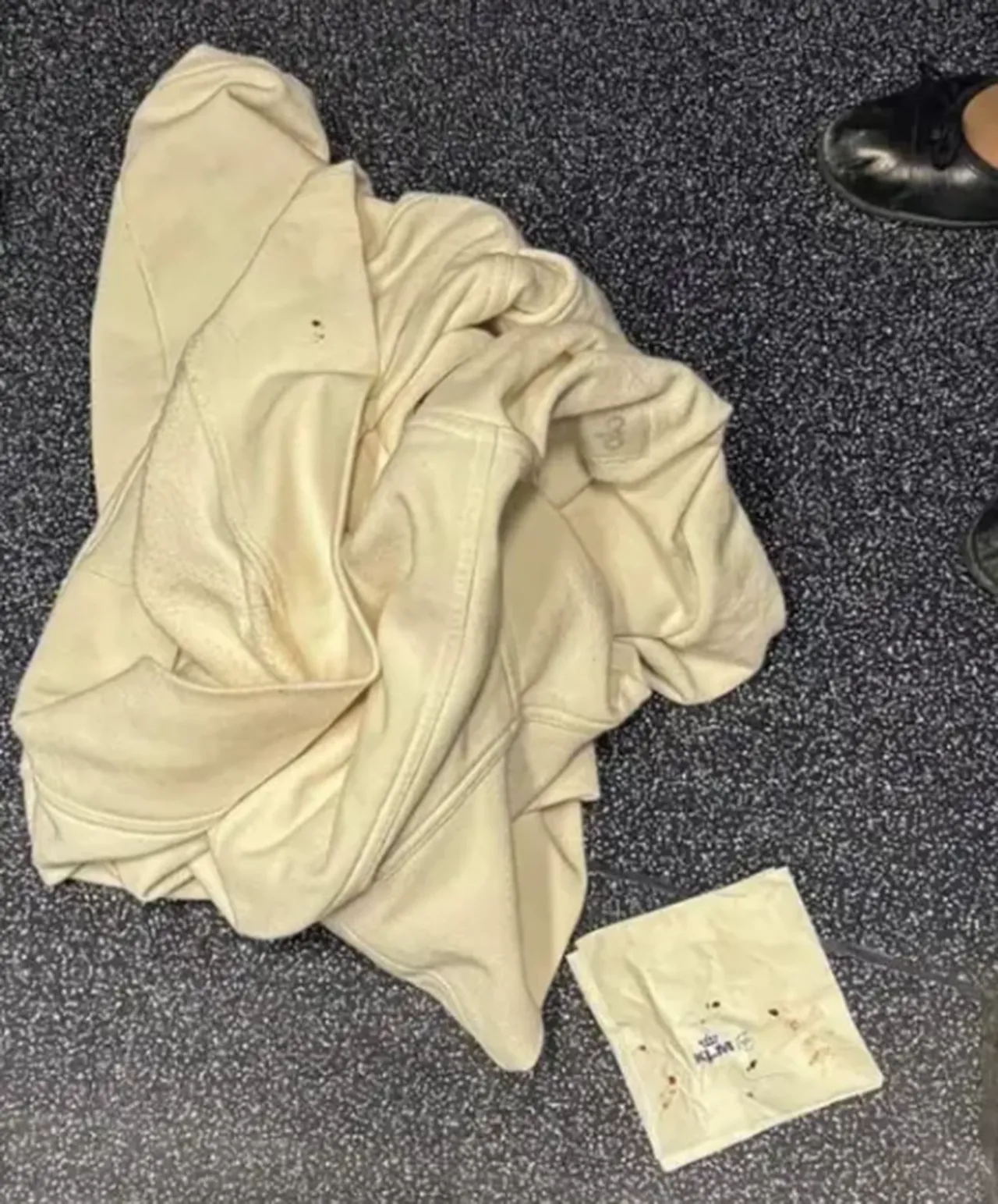 Dev havayolu şirketine tahtakurusu davası! Aile kabusu yaşadı: Üzerimde geziyorlardı