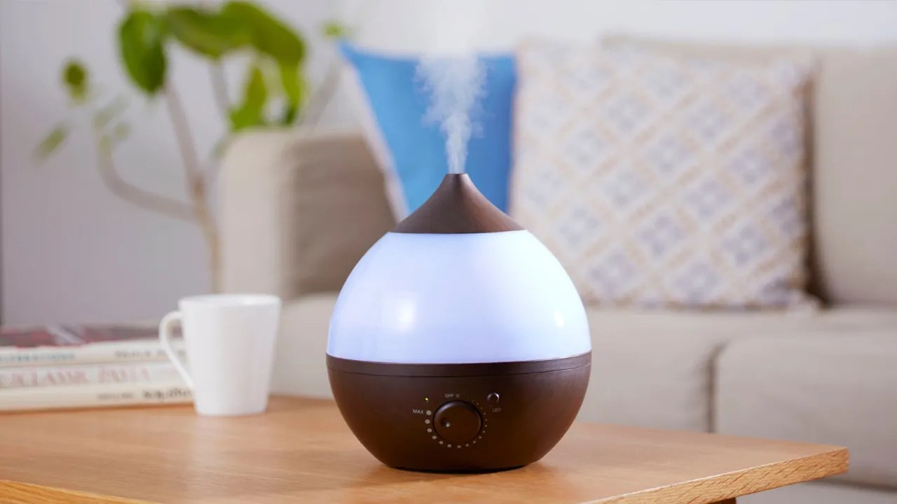 Evdeki tehlike! Nem cihazına eklenen aromatik yağlar ölümcül olabiliyor