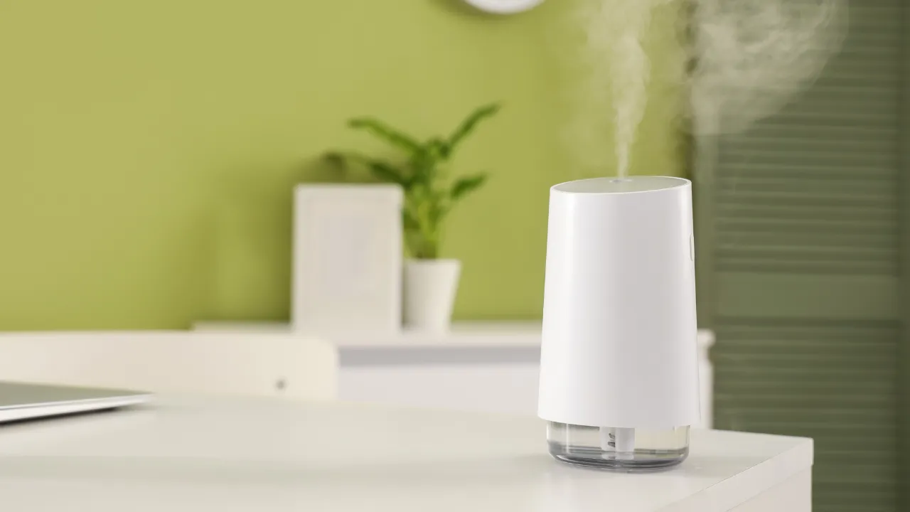 Evdeki tehlike! Nem cihazına eklenen aromatik yağlar ölümcül olabiliyor