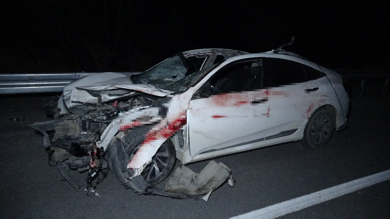 Hepsi tavladan kaçtı! Milyonluk taylar telef oldu, araçlar hurdaya döndü