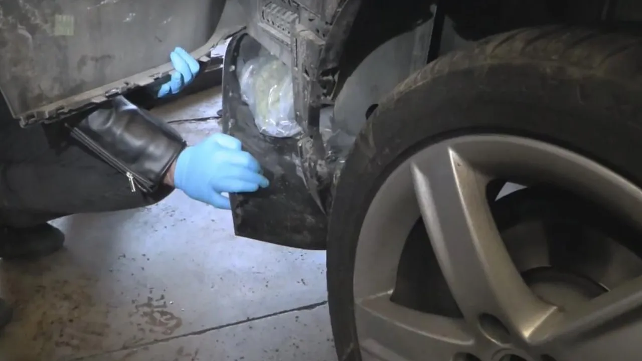 Kapıkule’de uyuşturucu operasyonu! Kilolarca esrar ele geçirildi