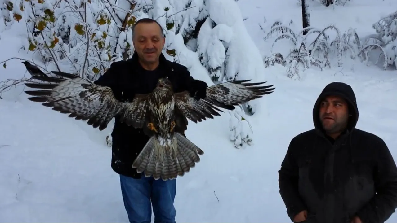 Karlar üzerinde hayatta kalma mücadelesi! Atmacanın pençesinden böyle aldılar