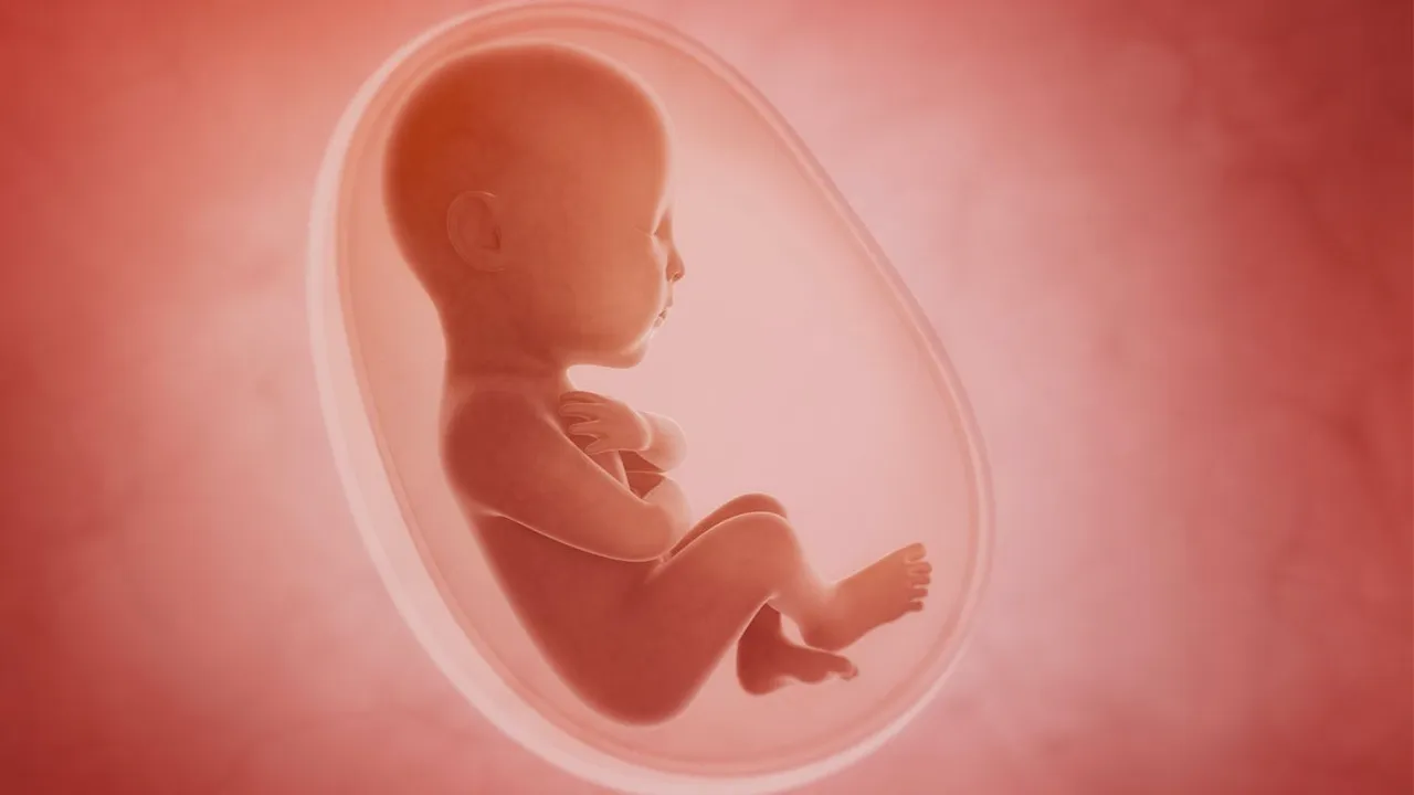 Laboratuvarda üretilen rahim astarında insan embriyosu gelişti