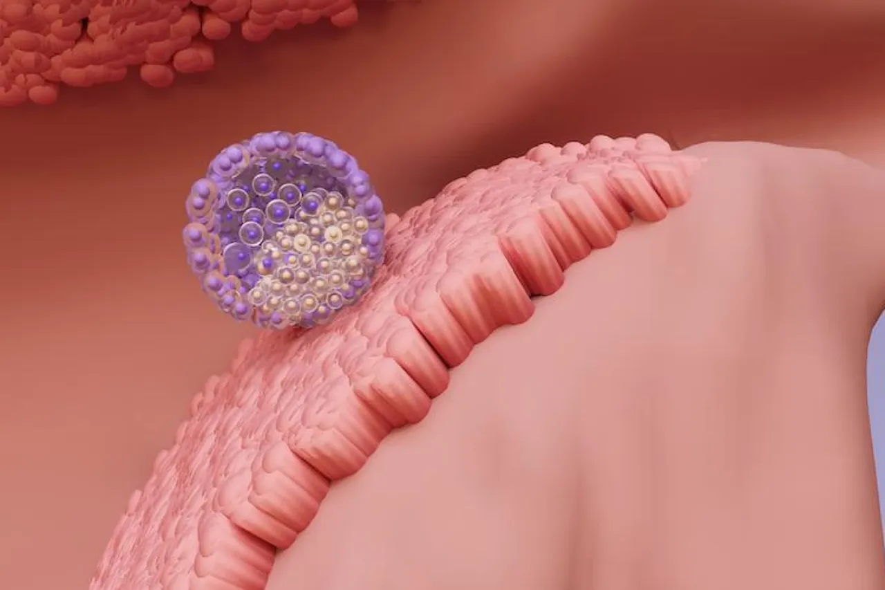 Laboratuvarda üretilen rahim astarında insan embriyosu gelişti