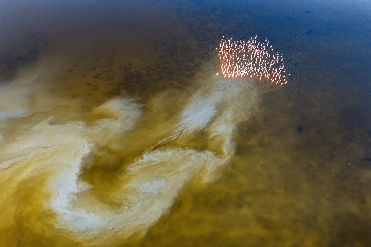 Memleketin her yanı manzarasıyla hayran bırakıyor!