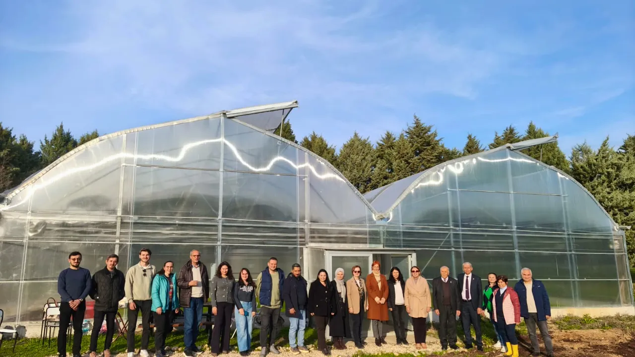 Tarımda devrim gibi proje: Güneş enerjili sera hayata geçti