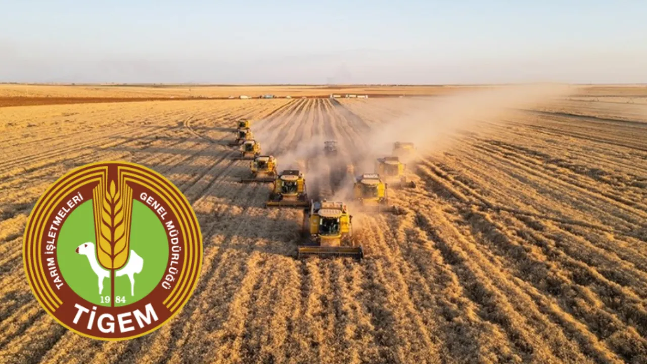 TİGEM 254 sürekli işçi alımı başvuruları ne zaman, şartları neler? Kadro dağılımı açıklandı