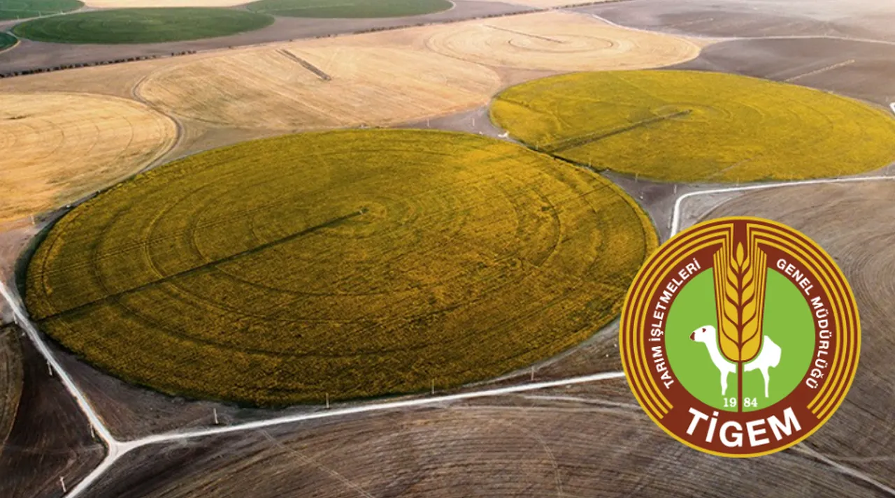 TİGEM 254 sürekli işçi alımı başvuruları ne zaman, şartları neler? Kadro dağılımı açıklandı