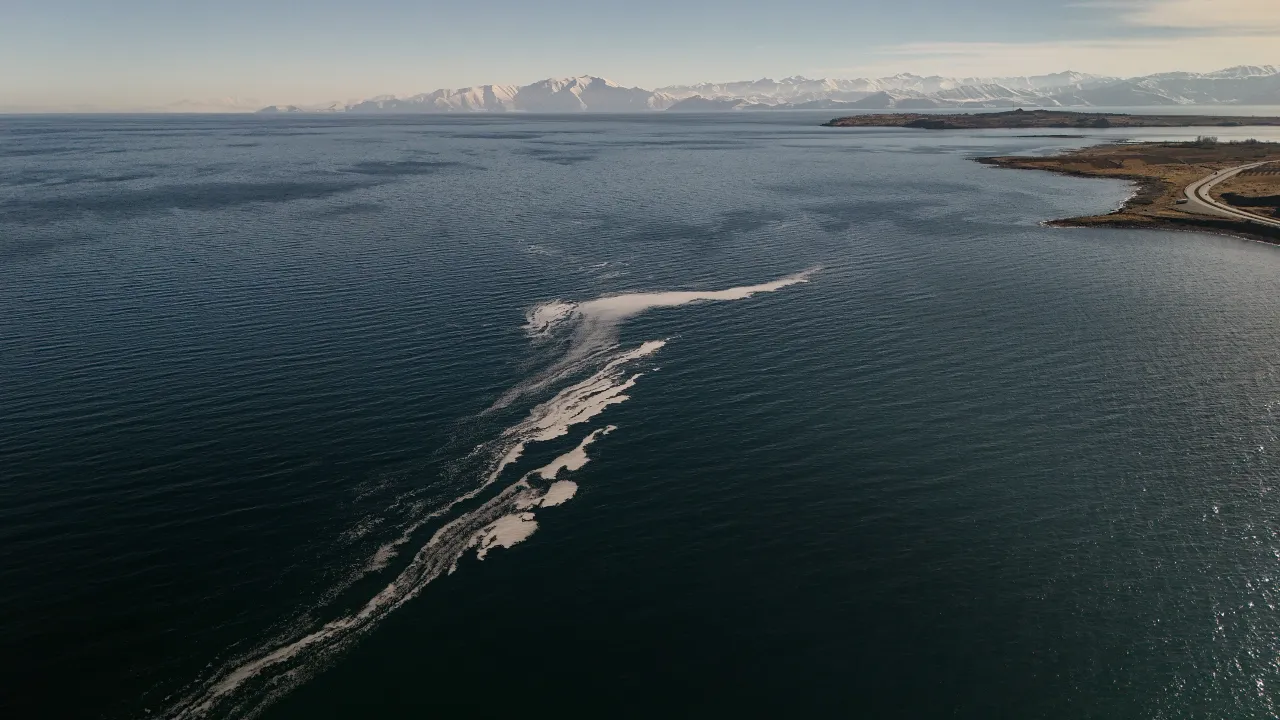 Van Gölü'nde dikkat çeken köpüklenme!